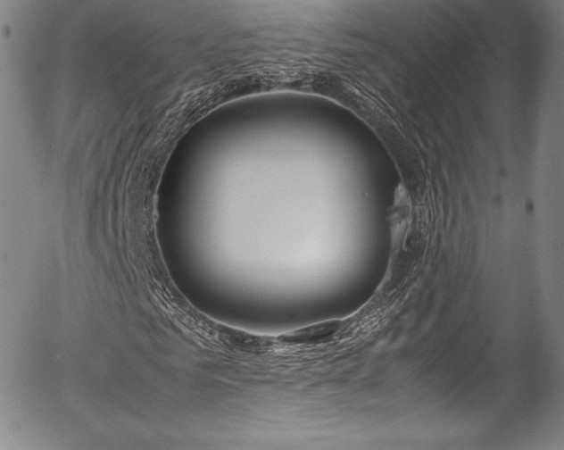 X0000054450961200508011425