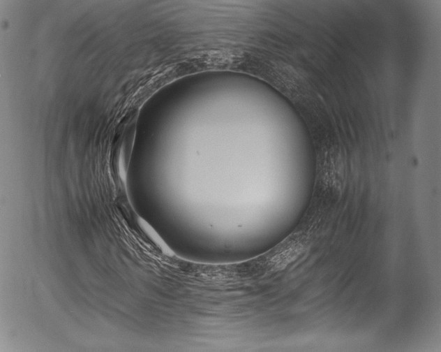 X0000054450962200508011425