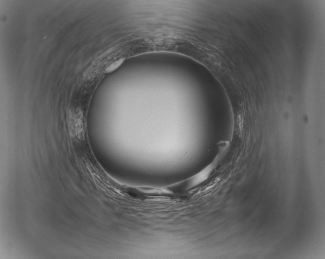 X0000054450963200508011425