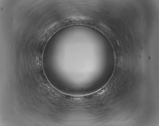X0000054450966200508011425