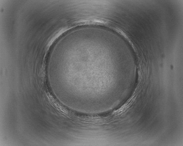 X0000054450975200508011425