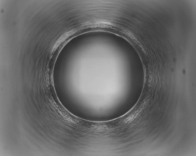 X0000054450978200508011425