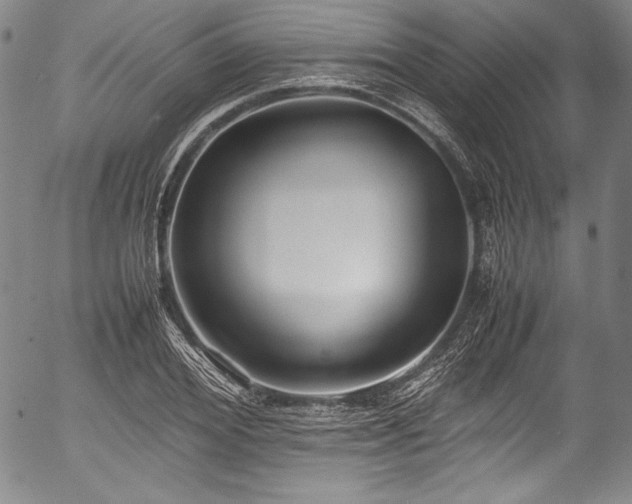 X0000054450980200508011425