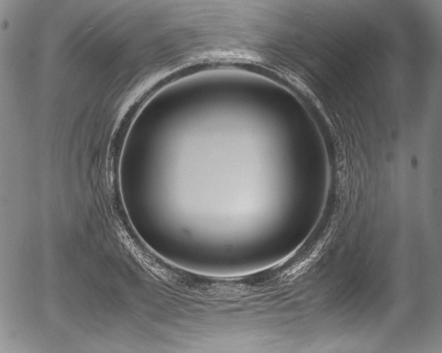 X0000054450981200508011424