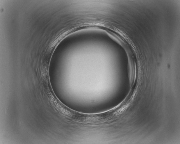 X0000054450985200508011424