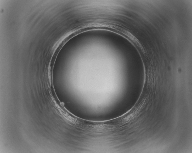 X0000054450988200508011424