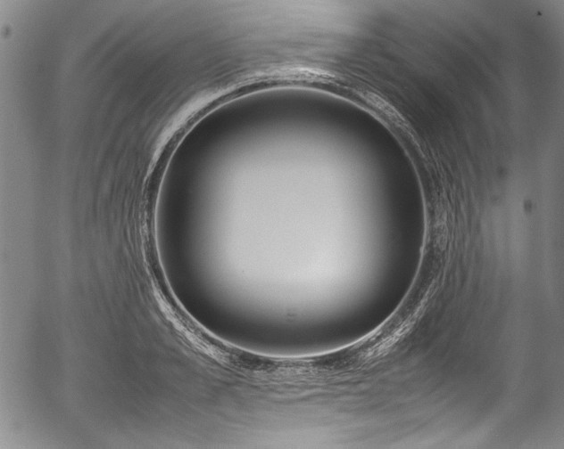 X0000054450989200508011424