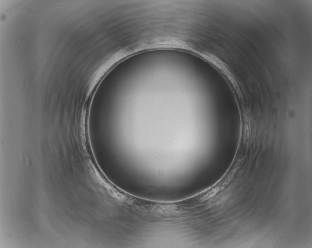 X0000054451006200508011424