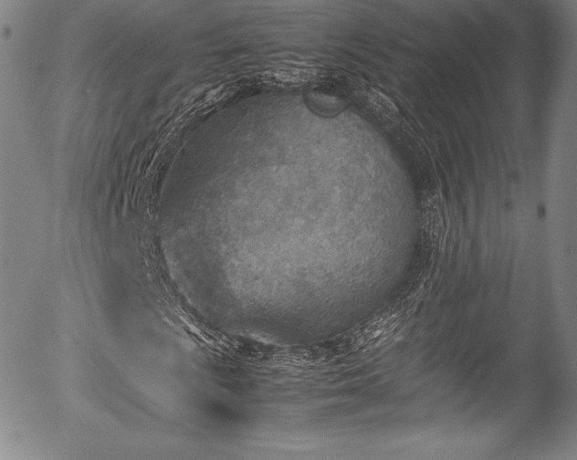 X0000054451009200508011423