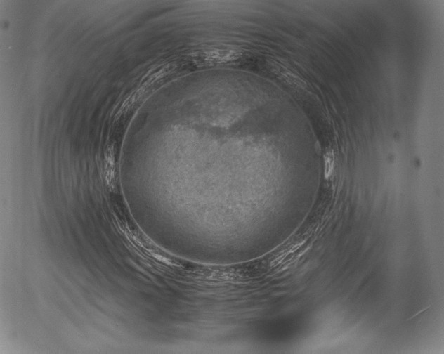X0000054451011200508011423