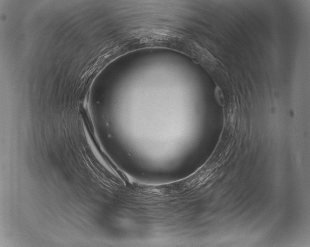X0000054451012200508011423