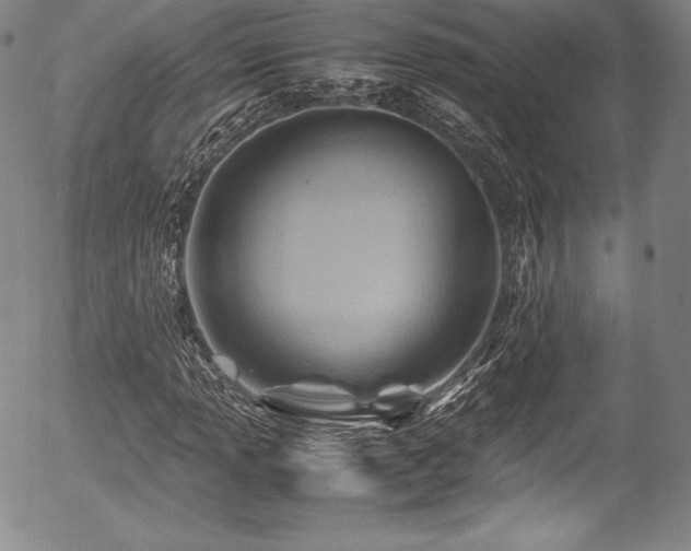 X0000054451013200508011423