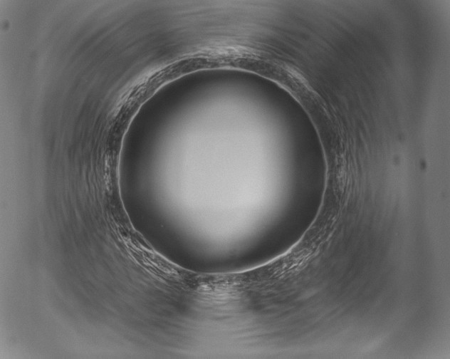 X0000054451016200508011423