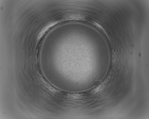 X0000054451019200508011423