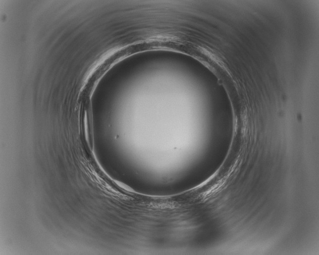 X0000054451021200508011423