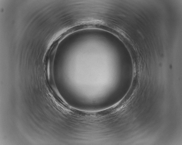 X0000054451022200508011423