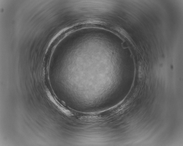 X0000054451024200508011423