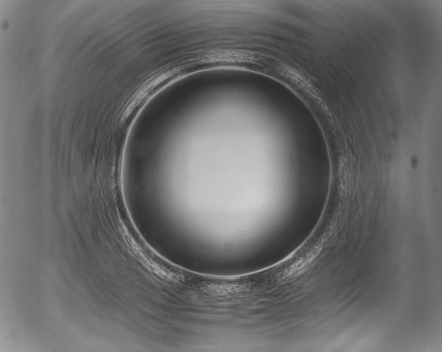 X0000054451033200508011424