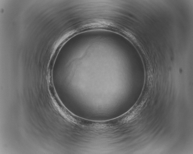 X0000054451034200508011424
