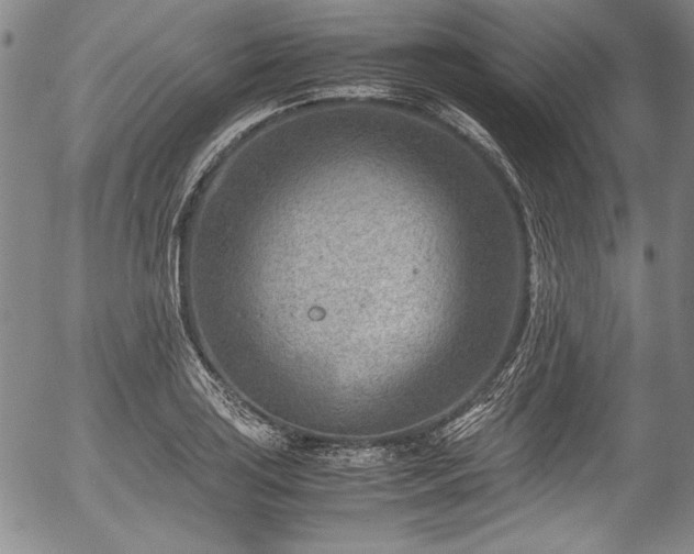 X0000054451035200508011424