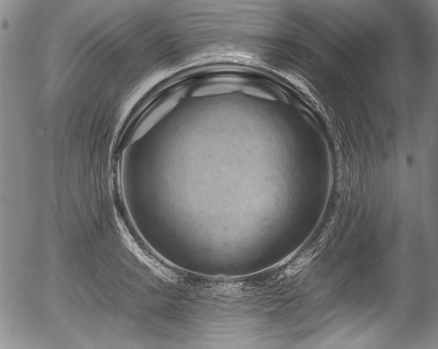 X0000054451038200508011424