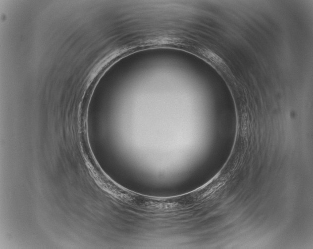 X0000054451039200508011424