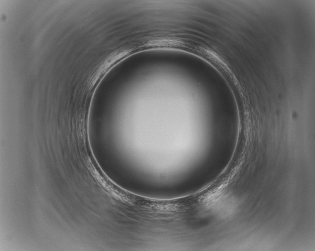 X0000054451041200508011424