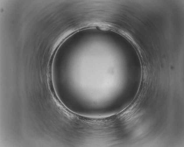 X0000054451048200508011424