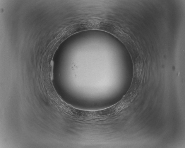 X0000054451057200508011423