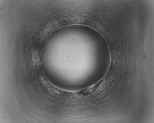 X0000054451058200508011423