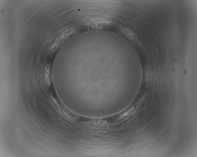 X0000054451060200508011423