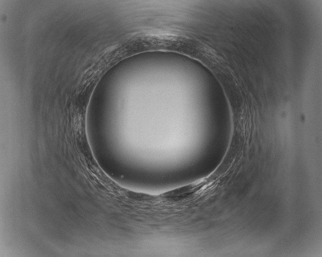 X0000054451061200508011423