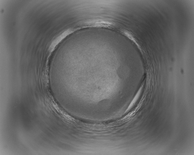 X0000054451071200508011423