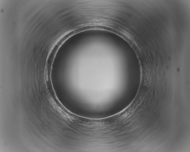 X0000054451076200508011423