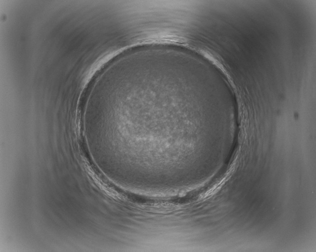 X0000054451077200508011423