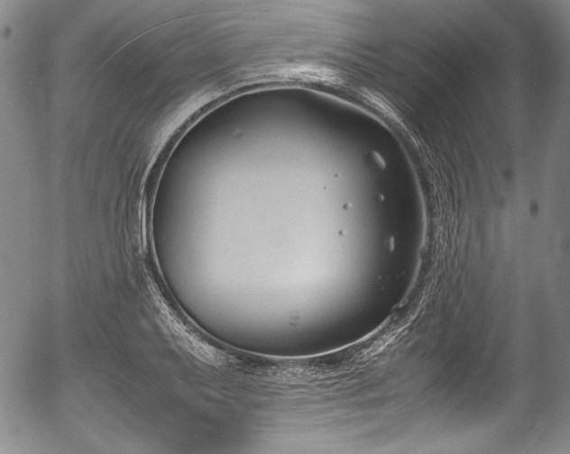 X0000054451079200508011423