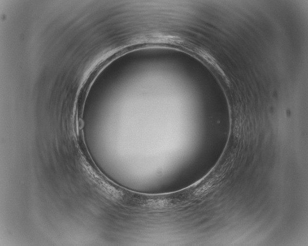 X0000054451080200508011423