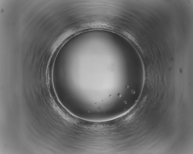 X0000054451082200508011423