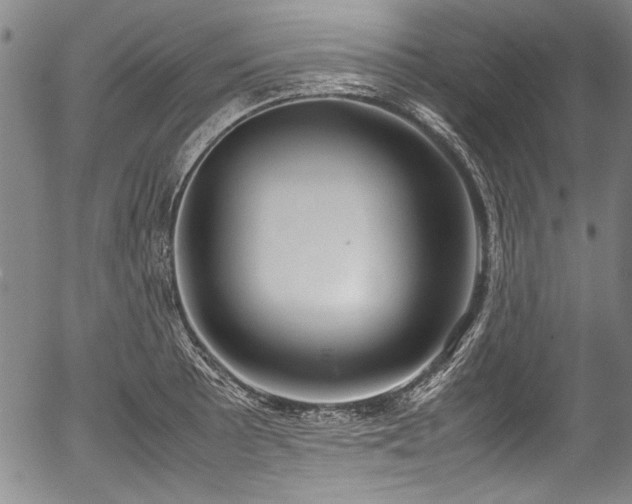 X0000054451089200508011423
