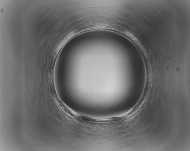 X0000054451097200508011423