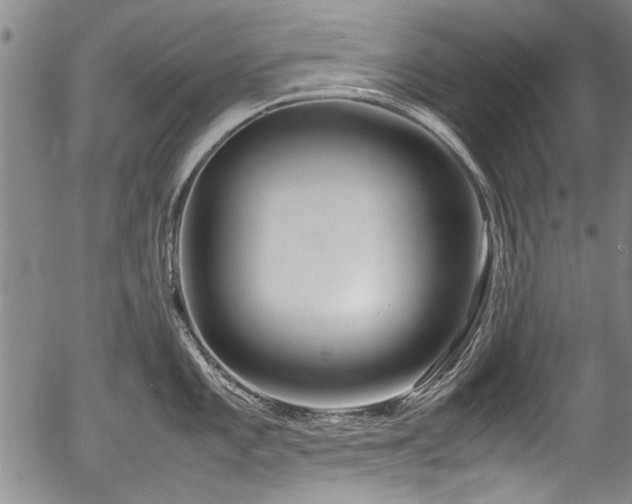 X0000054451101200508011422