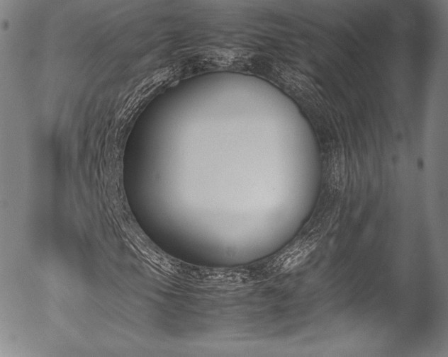 X0000054451105200508011422