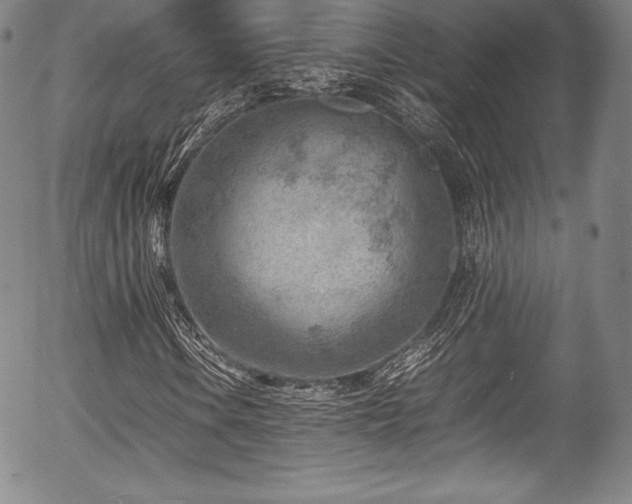X0000054451106200508011422