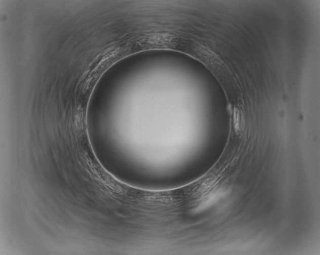 X0000054451107200508011422