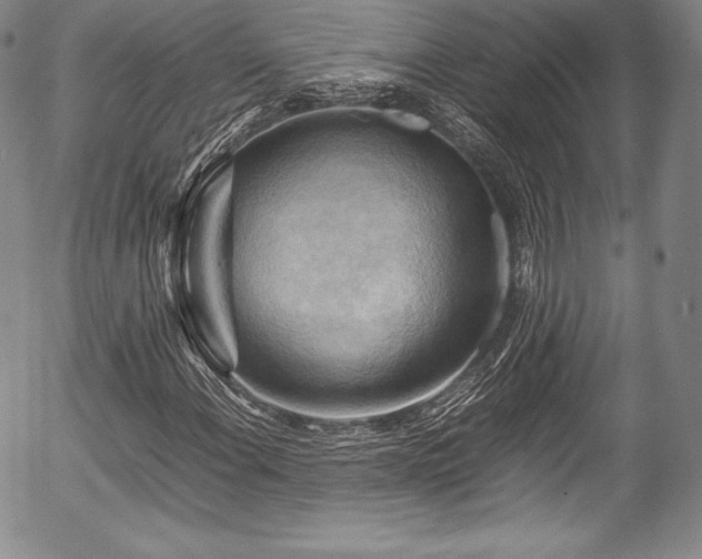 X0000054451108200508011422