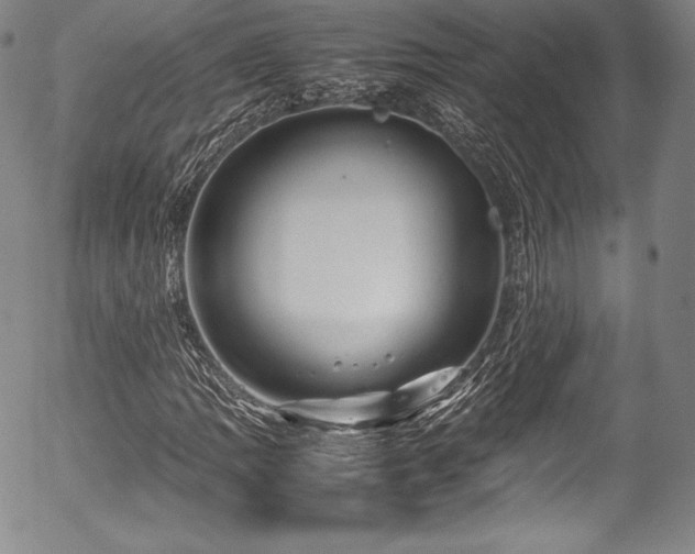 X0000054451109200508011422