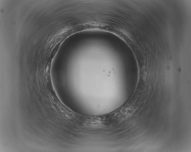 X0000054451111200508011422