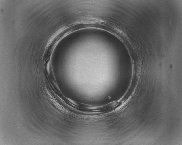 X0000054451114200508011422