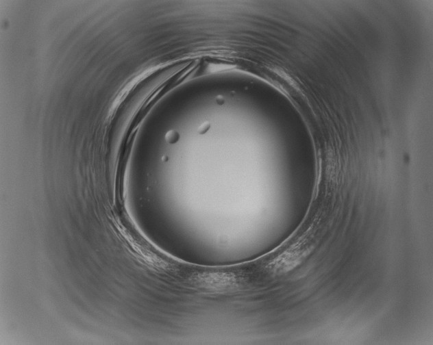 X0000054451115200508011422