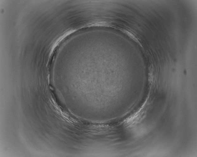 X0000054451117200508011422